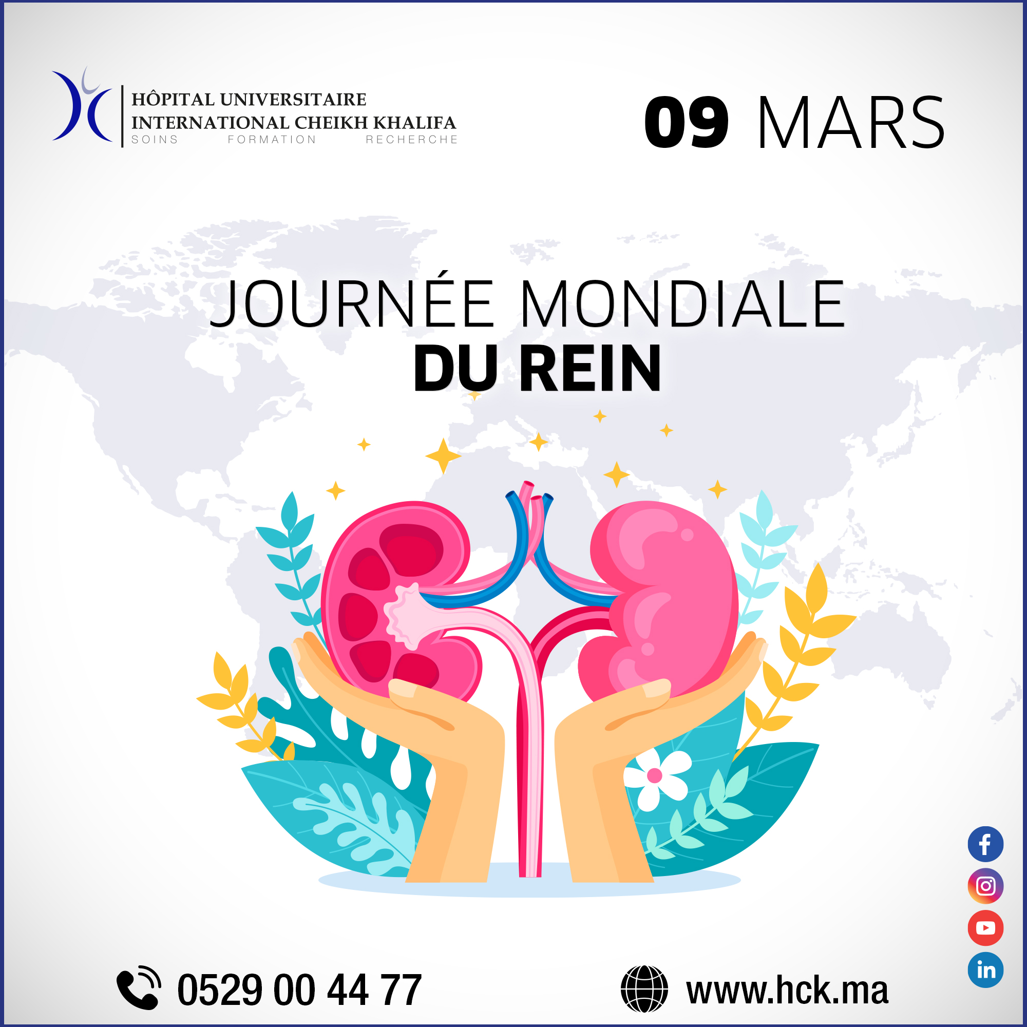 09 MARS : JOURNÉE MONDIALE DU REIN