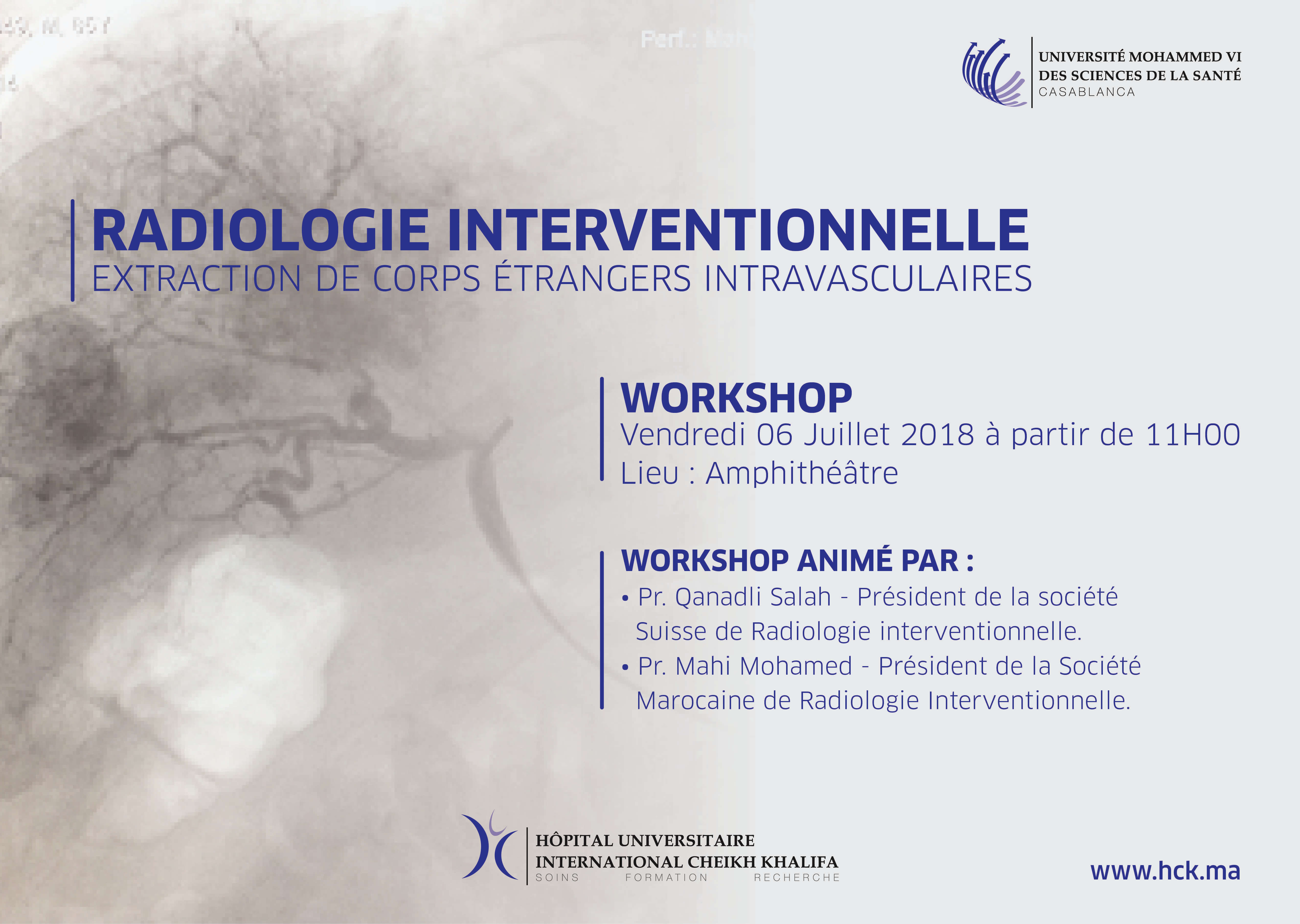 WORKSHOP EN RADIOLOGIE INTERVENTIONNELLE