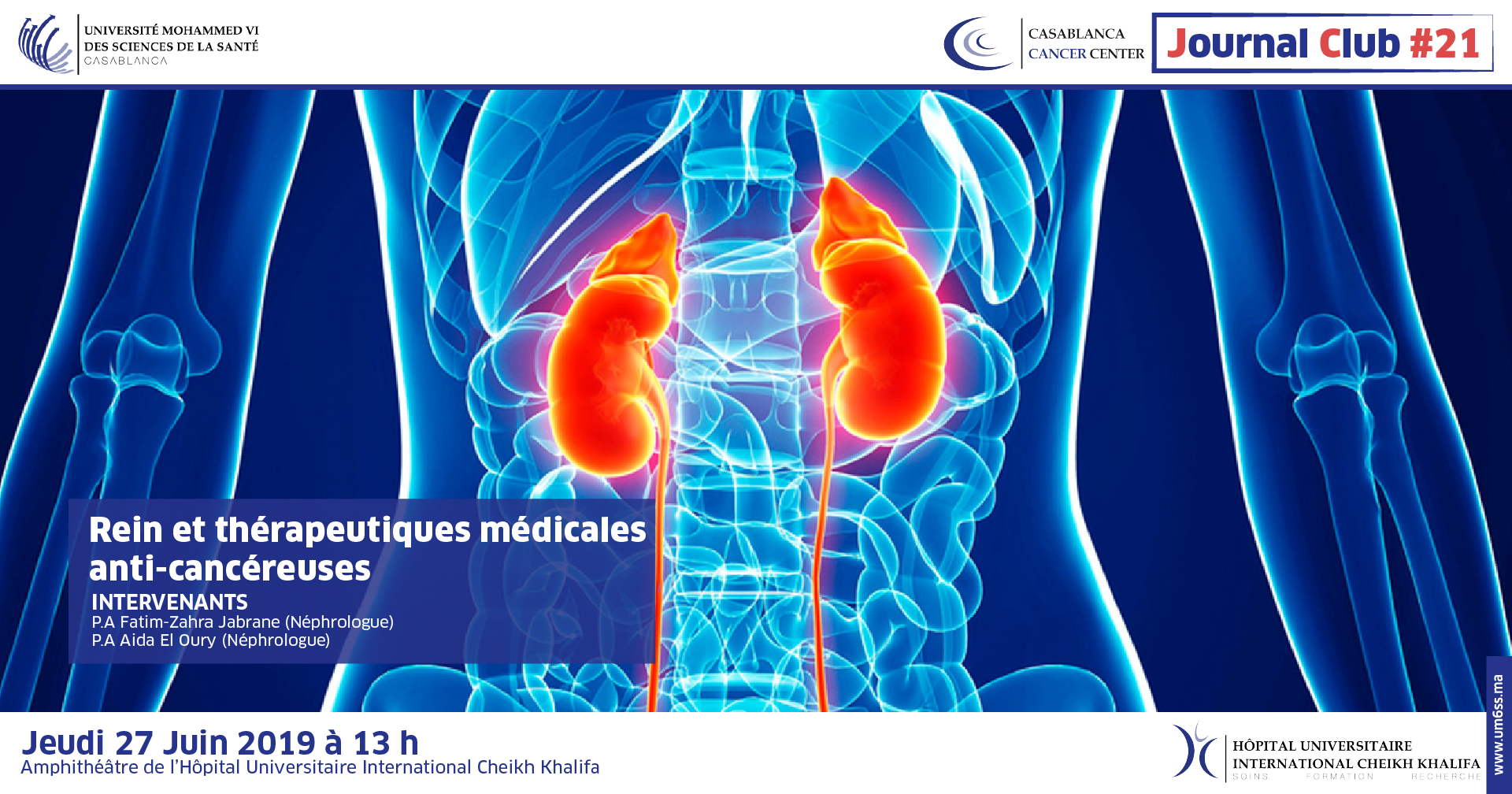 CCC Journal club #21 : Rein et thérapeutiques médicales anti-cancéreuses